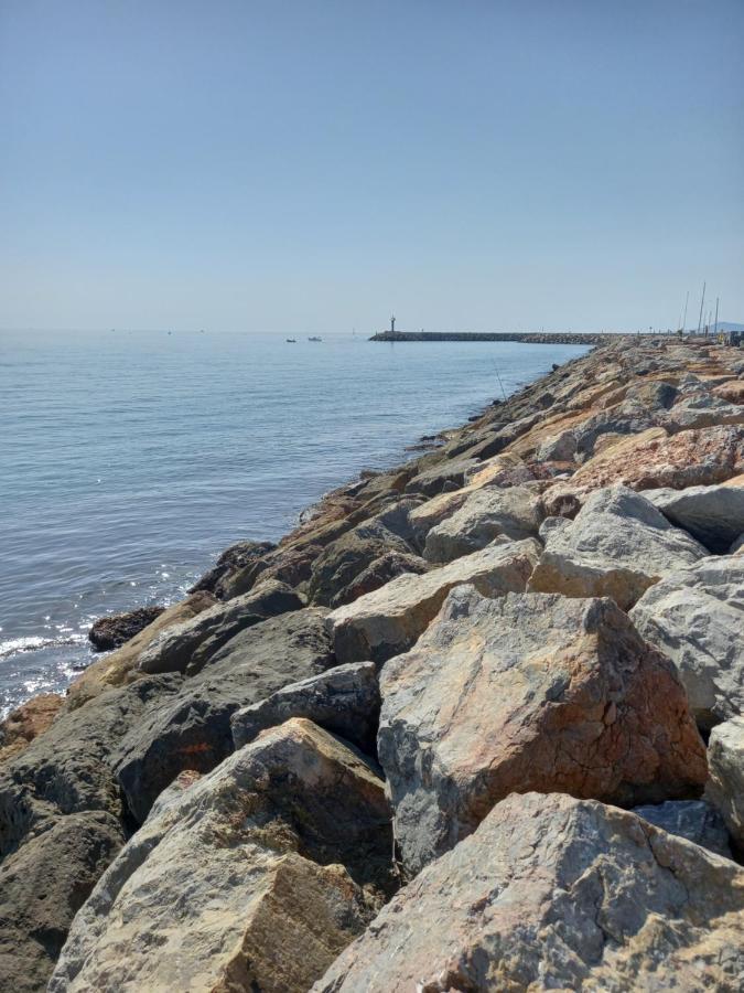 Appartement SAINT CYPRIEN Plage Résidence Les Mas de la Mer Extérieur photo