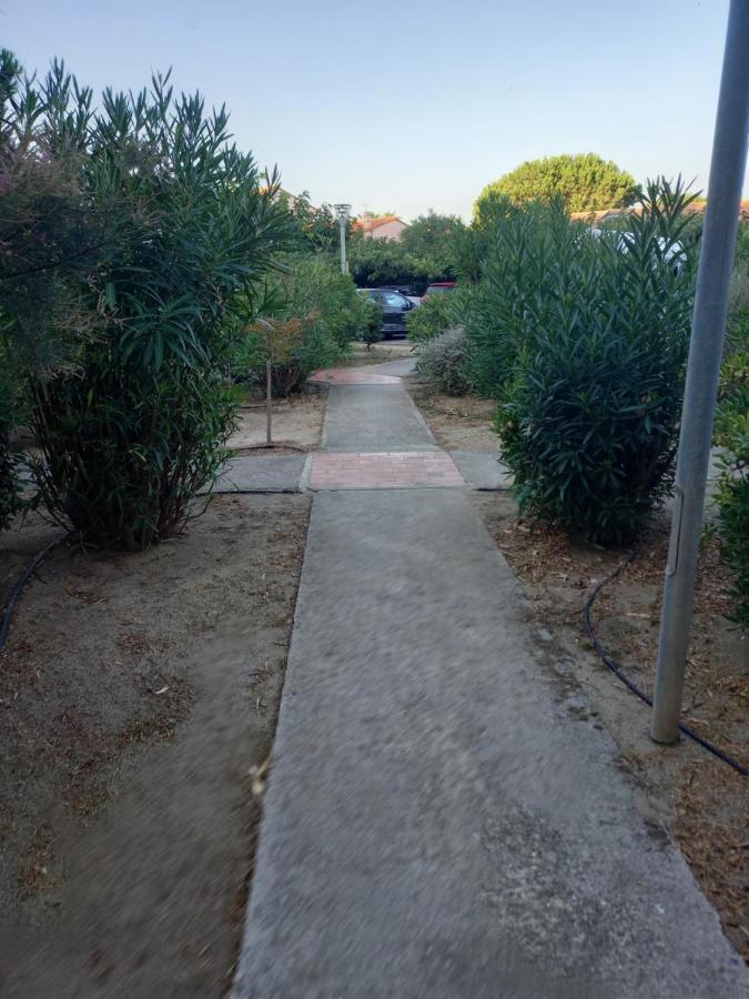 Appartement SAINT CYPRIEN Plage Résidence Les Mas de la Mer Extérieur photo