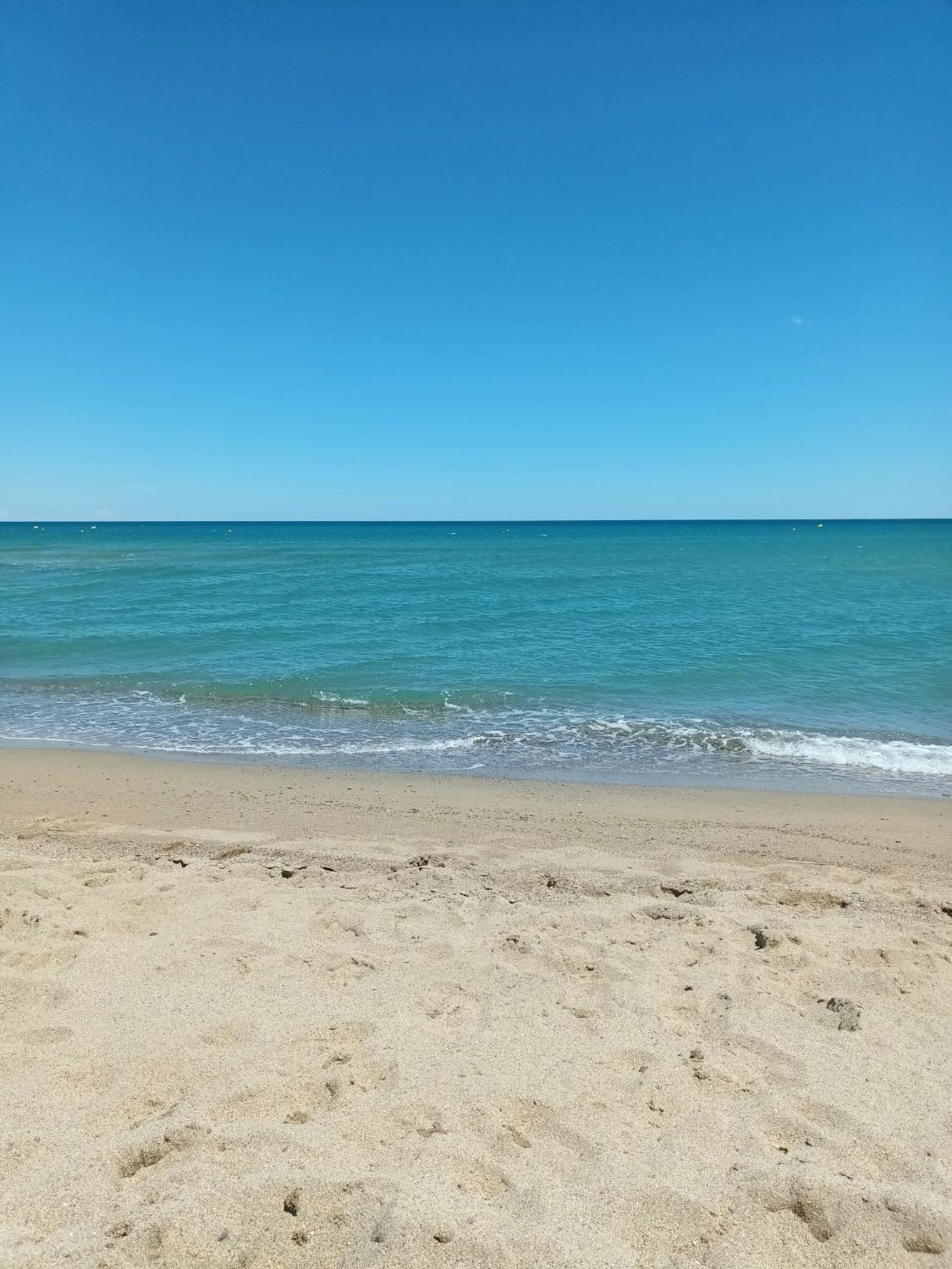 Appartement SAINT CYPRIEN Plage Résidence Les Mas de la Mer Extérieur photo